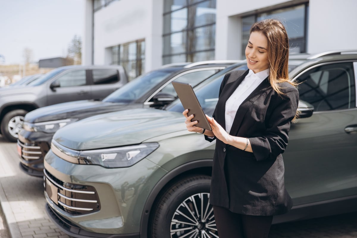 Professional vehicle inspection